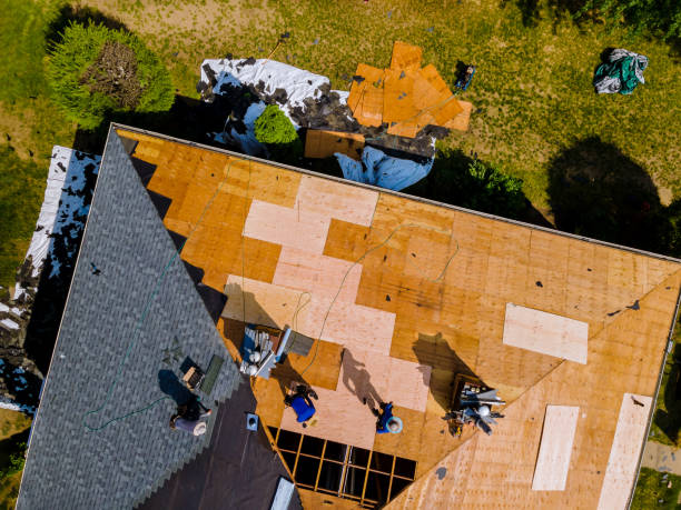Best Metal Roofing Contractor  in Butler, OH